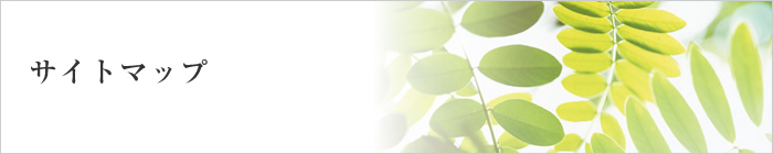 サイトマップ